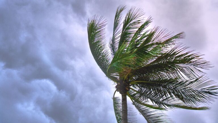 weather alert for winds in fuerteventura 3 april 2025